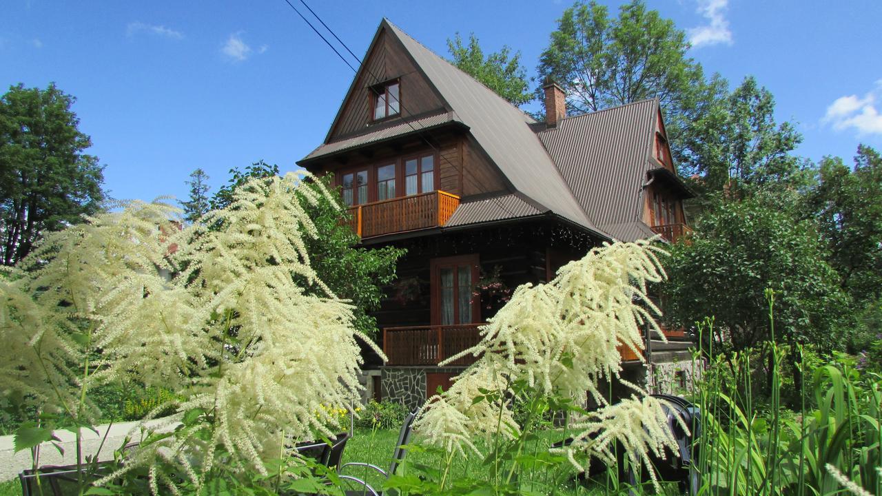 Willa Dewajtis Bed & Breakfast - Zakopane — Photos 1