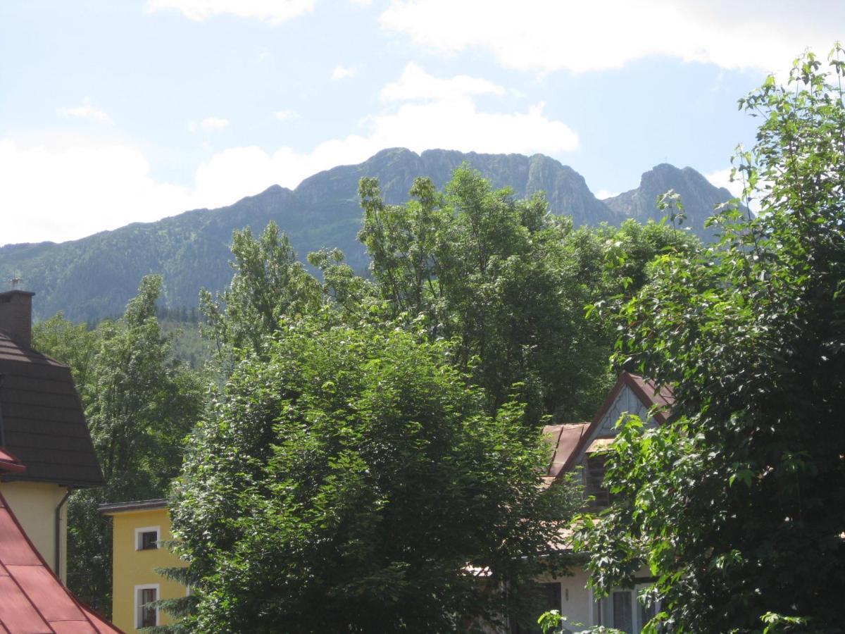 Willa Dewajtis Bed & Breakfast - Zakopane — Photos 3